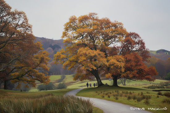 Elterwater Autumn Trees