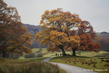 #Lake District Art Prints #Lake District Wildlife Art Prints #Herdies #Herdwick Tups #Lake District #Lake District Holiday Accommodation Art Prints #Wasdale Herdwicks #Wildlife #Lake District Foxes #Borrowdale #Langdale #Herdy Tups #Holiday Cottage Art Prints #Lake District Holiday Cottage Artworks #Lake District Hotel Artworks #Art Prints for Hotels #Herdy Ewes #Herdies #Sheep Artwork #Wasdale #Eskdale #Prints of Pencil Drawings #Prints of Acrylic Paintings #Abstract Art Prints #Digital Art #Gallery Wall Prints #Black And White Prints #Inspirational Wall Art #Affordable Art Prints #Luxury Art Prints #Decorative Wall Art #Floral Wall Art #Classic Wall Art #Artistic Prints #Office Art #Lakeland Office Artwork #Hotel Wall Art #Lake District Business Art Prints #Cumbria Art Prints #Cumbria Ar