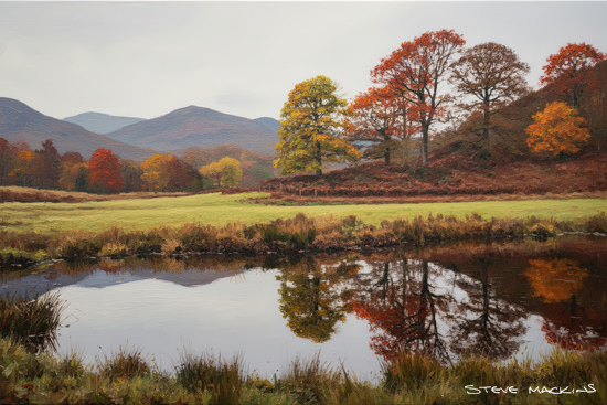 River Brathay Autumn Trees Elterwater