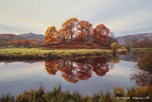 #Lake District Art Prints #Herdwick #Herdwick Ewes #Tups #Ewes #Herdwick Tups #Lake District #Cumbria #Lake District Hotel Art Prints #Wasdale Herdwicks #Langdale Herdwicks #Animals #Wildlife #Lake District Foxes #Holiday Cottage Paintings #Lake District Hotel Artworks #Art Prints for Hotels #Lakeland Cottage Canvas Artworks #Lakeland #Canvas Art Prints #Modern Wall Decor #Contemporary Art Prints #Artist Cumbria #Digital Art #Large Wall Art #Gallery Wall Prints #Office Wall Decor #Living Room Wall Art #Inspirational Wall Art #Custom Art Prints #Unique Art Prints #Handmade Art Prints #Nature Art Prints #Wall Art Decor #Artistic Prints #Artwork #Cumbrian Artist #Lake District Business Art Prints #Cumbria Artwork Prints