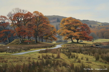 #Lake District Art Prints #Lake District Wildlife Art Prints #Rams #Ewes #Lake District #Lake District Ram Art Prints #Lake District Holiday Chalet Art Prints #Wasdale Herdwicks #Langdale Herdwicks #Lake District Foxes #Lake District Otters #Lake District Art Posters #Lake District Pheasants #Cumbrian #Herdy Lambs #Herdy Tups #Holiday Cottage Art Prints #Herdy Ewes #Herdies #Lakeland Sheep Art Prints #Art Prints #Prints of Acrylic Paintings #Home Decor Artwork #Minimalist Wall Art #Contemporary Art Prints #Large Wall Art #Living Room Wall Art #Aesthetic Art Prints #Vintage Art Prints #Floral Wall Art #Wall Art Decor #Wildlife Art #Office Art #Lakeland Office Artwork #Hotel Wall Art #Lake District Wildlife #Cumbrian Artist #Cumbria Art Prints #Cumbria Artwork Prints