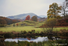 #Lake District Art Prints #Lake District Wildlife Art Prints #Herdwick #Herdwick Ewes #Tups #Herdwick Tups #Lake District Holiday Chalet Art Prints #Borrowdale Herdwicks #Animals #Wildlife #Lake District Hares #Lake District Foxes #Cumbrian #Holiday Cottage Artwork Prints #Holiday Cottage Art Prints #Holiday Cottage Paintings #Herdy Ewes #Sheep Artwork #Keswick #Eskdale #Wall Art #Fine Art Prints #Canvas Art Prints #Abstract Art Prints #Contemporary Art Prints #Living Room Wall Art #Bedroom Wall Decor #Colourful Wall Art #Black And White Prints #Classic Wall Art #Artistic Prints #Lake District Art Pictures #Hotel Wall Art #Large Wall Art Prints #Giclee Prints #Cumbria Artwork Prints