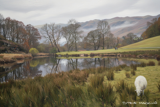 River Brathay Winter Trees Elterwater
