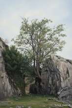 #Lake District Art Prints #Herdwick #Herdwick Ewes #Herdwick Rams #Lake district sheep #Lake District #Lake District Holiday Chalet Art Prints #Lake District Art Posters #Borrowdale #Langdale #Lake District Holiday Cottage Artworks #Lake District Hotel Artworks #Lakeland Cottage Canvas Artworks #Herdy Ewes #Herdies #Lakeland #Keswick #Fine Art Prints #Canvas Art Prints #Framed Art Prints #Living Room Wall Art #Botanical Art Prints #Inspirational Wall Art #Affordable Art Prints #Fine Quality Prints #Decorative Wall Art #Hotel Wall Art #Hotel Art Prints #Large Wall Art Prints #Cumbrian Artist #Giclee Prints #Hospitality Art Prints #Cumbria Artwork Prints