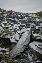 #Lake District Art Prints #Rams #Ewes #Herdwick Tups #Cumbria #Lake District Ram Art Prints #Lake District Hotel Art Prints #Wasdale Herdwicks #Langdale Herdwicks #Wildlife #Lake District Hares #Lake District Foxes #Lake District Cows #Herdy Lambs #Lake District Hotel Artworks #Lakeland Cottage Canvas Artworks #Lakeland #Keswick #Art Prints #Prints of Oil Paintings #Wall Art #Fine Art Prints #Abstract Art Prints #Digital Art #Gallery Wall Prints #Office Wall Decor #Affordable Art Prints #Luxury Art Prints #Decorative Wall Art #Nature Art Prints #Wall Art Decor #Lakeland #Lake District #Large Wall Art Prints #Cumbrian Artist #Cumbria Art Prints #Cumbria Artwork Prints