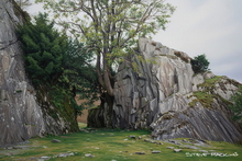 #Lake District Art Prints #Rams #Herdwick Tups #Lake District Holiday Accommodation Art Prints #Wasdale Herdwicks #Borrowdale Herdwicks #Animals #Wildlife #Lake District Otters #Lake District Art Posters #Langdale #Herdy Tups #Holiday Cottage Art Prints #Lake District Holiday Cottage Artworks #Herdy Ewes #Dogs #Fine Art Prints #Air B&B Art Prints #Abstract Art Prints #Large Wall Art #Living Room Wall Art #Aesthetic Art Prints #Colourful Wall Art #Black And White Prints #Botanical Art Prints #Inspirational Wall Art #Typography Art Prints #Wall Art Decor #Statement Wall Art #Premium Art Prints #Lake District #Hotel Wall Art #Lake District Wildlife #Hospitality Art Prints #Photopaper Art Prints #Cumbria Artwork Prints