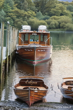 #Lake District Art Prints #Lake District Wildlife Art Prints #Herdwick Ewes #Tups #Rams #Cumbria #Lake District Holiday Accommodation Art Prints #Lake District Ewe Art Prints #Borrowdale Herdwicks #Wildlife #Lake District Otters #Lake District Pheasants #Lake District Cows #Langdale #Herdy Tups #Holiday Cottage Paintings #Herdy Ewes #Herdies #Sheep Artwork #Keswick #Art Prints #Prints of Pencil Drawings #Prints of Acrylic Paintings #Modern Wall Decor #Abstract Art Prints #Minimalist Wall Art #Vintage Art Prints #Decorative Wall Art #Handmade Art Prints #Nature Art Prints #Classic Wall Art #Statement Wall Art #Artistic Prints #Lakeland #Lake District Art Pictures #Hotel Art Prints #Cumbria Art Prints #Cumbria Artwork Prints