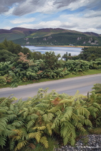 #Lake District Art Prints #Lake District Wildlife Art Prints #Herdies #Herdwick Rams #Lake district sheep #Herdwick Tups #Lake District Holiday Accommodation Art Prints #Lake District Ewe Art Prints #Lake District Hotel Art Prints #Lake District Hares #Langdale #Cumbrian #Holiday Cottage Art Prints #Holiday Cottage Paintings #Art Prints for Hotels #Lakeland #Wasdale #Dogs #Prints of Pencil Drawings #Prints of Oil Pastel Artworks #Home Decor Artwork #Abstract Art Prints #Minimalist Wall Art #Bedroom Wall Decor #Black And White Prints #Botanical Art Prints #Typography Art Prints #High Resolution Prints #Artwork #Office Art #Lakeland Office Artwork #Hotel Art Prints #Bed And Breakfast Art Prints #Cumbrian Artist #Giclee Prints #Box Canvas Art Prints #Cumbria Art Prints #Photopaper Art Prints 