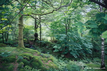 #Lake District Art Prints #Lake District Wildlife Art Prints #Tups #Herdwick Tups #Lake District #Cumbria #Wasdale Herdwicks #Animals #Wildlife #Lake District Art Posters #Borrowdale #Cumbrian #Herdy Lambs #Herdy Tups #Holiday Cottage Artwork Prints #Lake District Hotel Artworks #Lakeland Cottage Canvas Artworks #Herdy Ewes #Dogs #Art Prints #Prints of Pencil Drawings #Wall Art #Minimalist Wall Art #Contemporary Art Prints #Office Wall Decor #Inspirational Wall Art #Nature Art Prints #Typography Art Prints #Statement Wall Art #Artwork #Hotel Art Prints #Lake District Wildlife #Giclee Prints #Box Canvas Art Prints #Photopaper Art Prints #Cumbria Artwork Prints