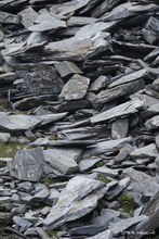 #Lake District Art Prints #Lake District Wildlife Art Prints #Herdwick #Herdwick Tups #Lake District #Cumbria #Lake District Ewe Art Prints #Lake District Holiday Chalet Art Prints #Langdale Herdwicks #Borrowdale Herdwicks #Lake District Hares #Lake District Art Posters #Lake District Cows #Borrowdale #Herdy Lambs #Holiday Cottage Artwork Prints #Holiday Cottage Art Prints #Holiday Cottage Paintings #Lakeland Cottage Canvas Artworks #Sheep Artwork #Keswick #Prints of Pencil Drawings #Prints of Acrylic Paintings #Wall Art #Modern Wall Decor #Framed Art Prints #Artist Cumbria #Black And White Prints #Landscape Wall Art #Custom Art Prints #Fine Quality Prints #Wall Art Decor #High Resolution Prints #Artistic Prints #Lakeland #Hotel Wall Art #Lake District Business Art Prints #Box Canvas Art P