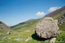 #Lake District Art Prints #Herdwick Ewes #Tups #Rams #Lake District Ram Art Prints #Lake District Ewe Art Prints #Lake District Holiday Chalet Art Prints #Borrowdale Herdwicks #Lake District Otters #Lake District Art Posters #Lake District Pheasants #Borrowdale #Langdale #Cumbrian #Holiday Cottage Artwork Prints #Holiday Cottage Art Prints #Lakeland #Sheep Artwork #Dogs #Art Prints #Prints of Oil Pastel Artworks #Modern Wall Decor #Framed Art Prints #Artist Cumbria #Digital Art #Large Wall Art #Bedroom Wall Decor #Colourful Wall Art #Black And White Prints #Landscape Wall Art #Custom Art Prints #Fine Quality Prints #Unique Art Prints #High Resolution Prints #Wildlife Art #Artwork #Lakeland #Cumbria Art Prints #Cumbria Artwork Prints