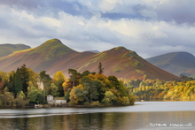 #Lake District Art Prints #Herdies #Herdwick Rams #Lake district sheep #Rams #Ewes #Cumbria #Lake District Holiday Chalet Art Prints #Borrowdale Herdwicks #Herdy Lambs #Holiday Cottage Paintings #Lake District Hotel Artworks #Art Prints for Hotels #Lakeland Cottage Canvas Artworks #Herdy Ewes #Lakeland Sheep Art Prints #Dogs #Eskdale #Canvas Art Prints #Modern Wall Decor #Home Decor Artwork #Minimalist Wall Art #Artist Cumbria #Large Wall Art #Bedroom Wall Decor #Aesthetic Art Prints #Landscape Wall Art #Vintage Art Prints #Typography Art Prints #Lakeland Office Artwork #Lake District Art Pictures #Hotel Wall Art #Bed And Breakfast Art Prints #Large Wall Art Prints #Cumbrian Artist #Cumbria Art Prints #Photopaper Art Prints #Cumbria Artwork Prints