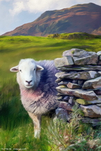 Sheep Art Print - Sheep Art Art Print