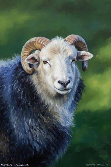 Sheep Art Print
