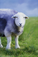 Sheep Art Print - Sheep Art Art Print