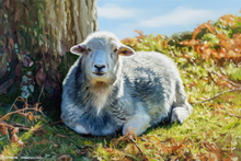 Sheep Art Print - Sheep Art Art Print