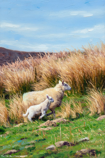 Sheep Art Print