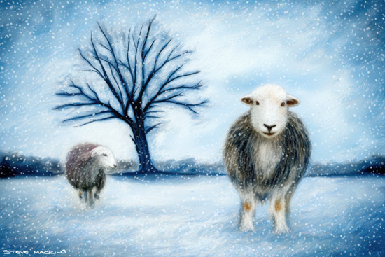 Sheep Art Print