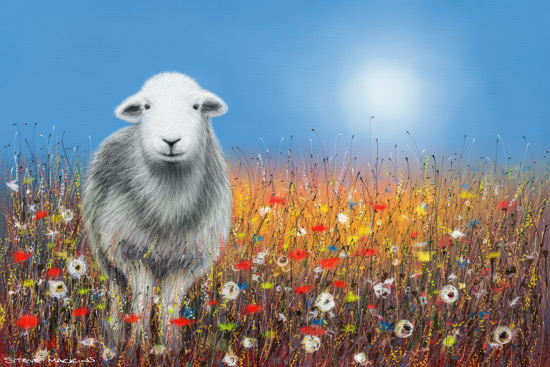 Sheep Art Print