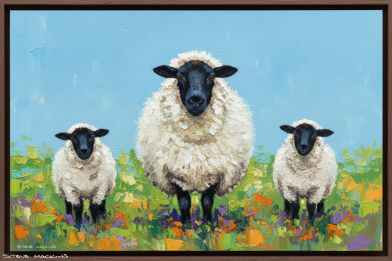 Sheep Art Print