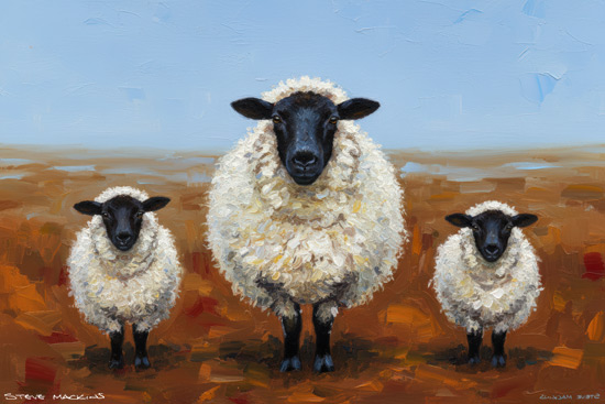 Sheep Art Print