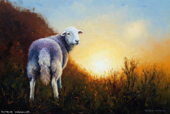 Sheep Art Print