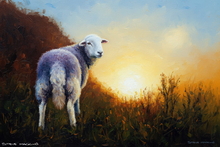 Sheep Art Print - Sheep Art Art Print