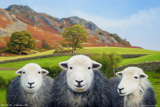Sheep Art Print