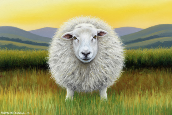 Sheep Art Print