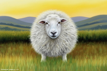 Sheep Art Print - Sheep Art Art Print