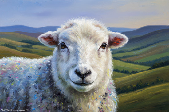 Sheep Art Print
