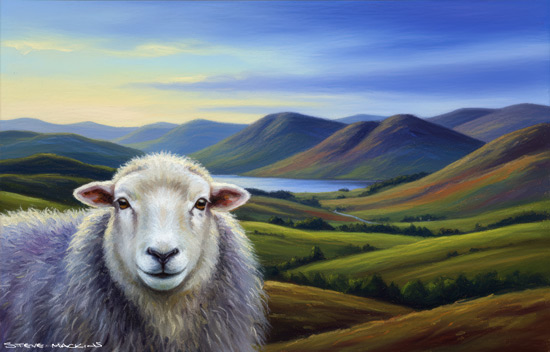 Sheep Art Print