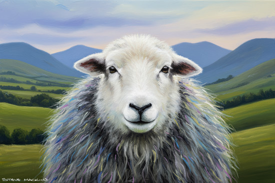 Sheep Art Print