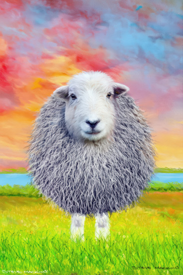 Sheep Art Print