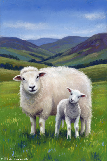 Sheep Art Print