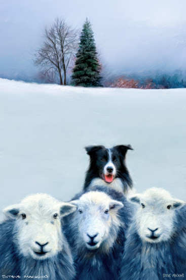 Sheep Art Print