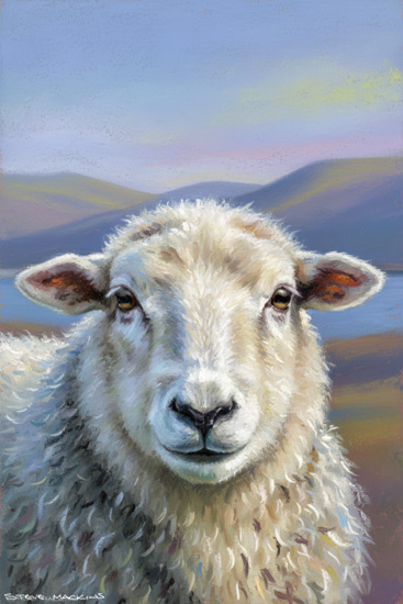 Sheep Art Print