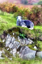 Sheep Art Print - Sheep Art Art Print