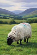 Sheep Art Print - Sheep Art Art Print