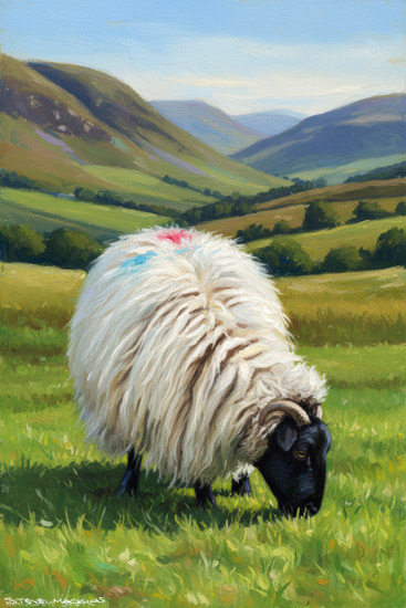 Sheep Art Print