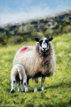 Sheep Art Print - Sheep Art Art Print