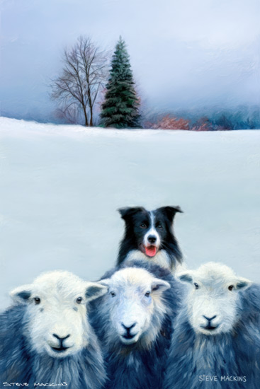 Sheep Art Print