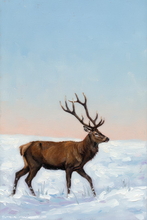 Highland Stag Art Print