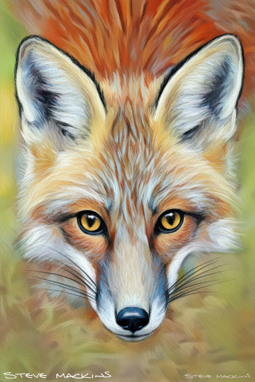 Fox Art Print