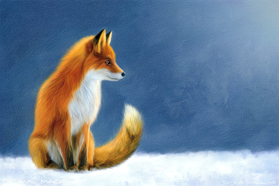 Fox Art Print