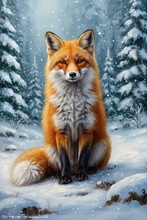 Fox, Vixen, Tod, Red Fox, Wild Fox