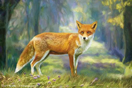 Fox Art Print