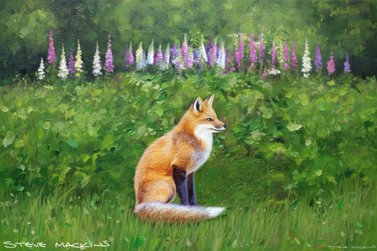 Fox Art Print