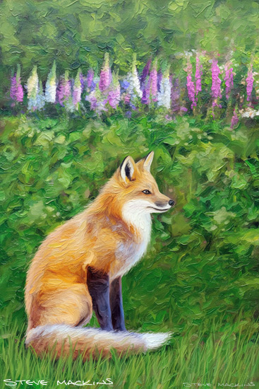 Fox Art Print
