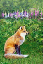 Fox, Vixen, Tod, Red Fox, Wild Fox